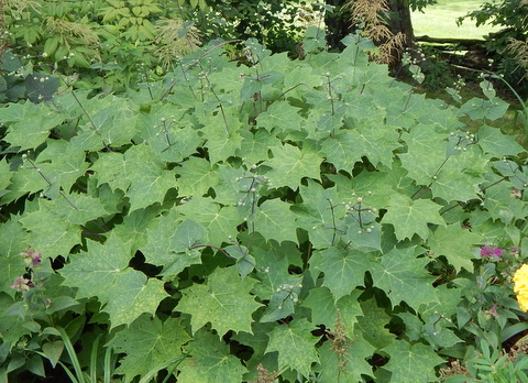 DSCN4555.JPG