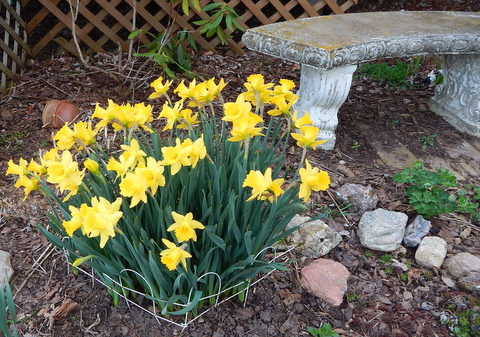 DSCN4557.JPG