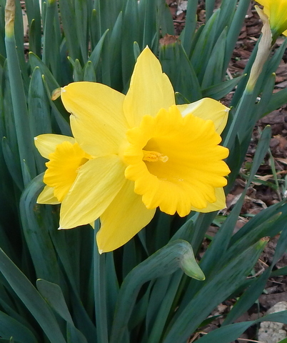 DSCN4558.JPG