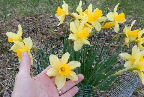 DSCN4562.JPG