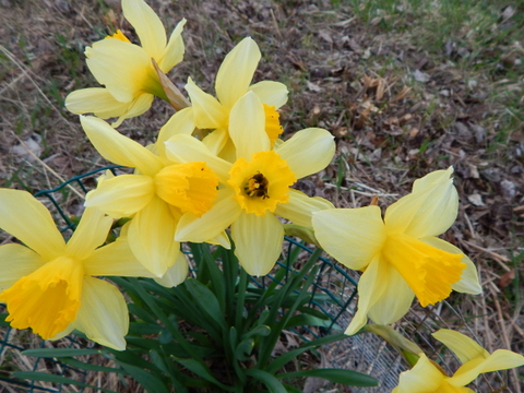 DSCN4563.JPG