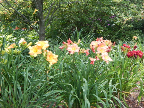 DSCN4563.JPG
