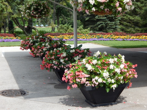 DSCN4564.JPG