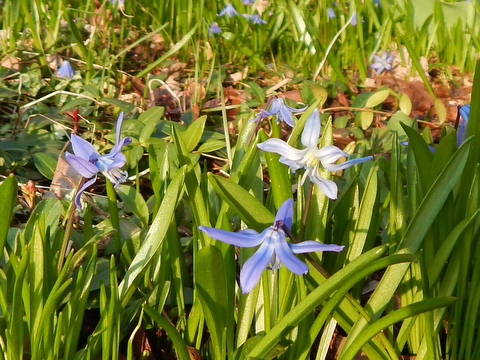 DSCN4567.JPG