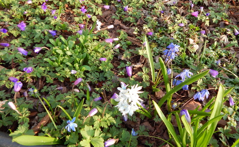 DSCN4568.JPG