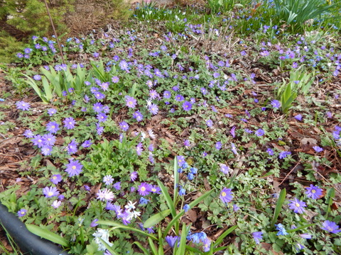 DSCN4576.JPG