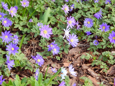DSCN4577.JPG