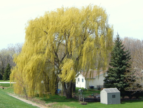DSCN4669.JPG