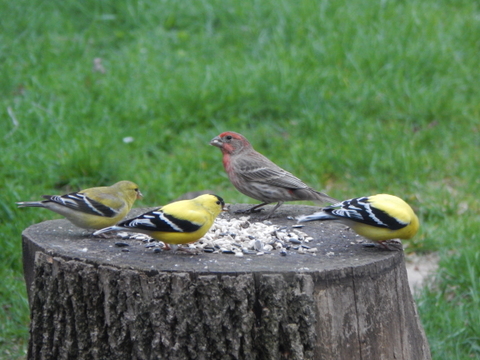 DSCN4705.JPG