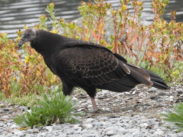 DSCN5648.JPG