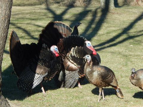 DSCN6625.JPG