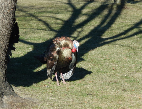 DSCN6630.JPG