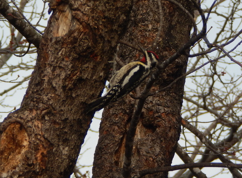 DSCN6634.JPG