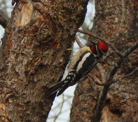 DSCN6637.JPG