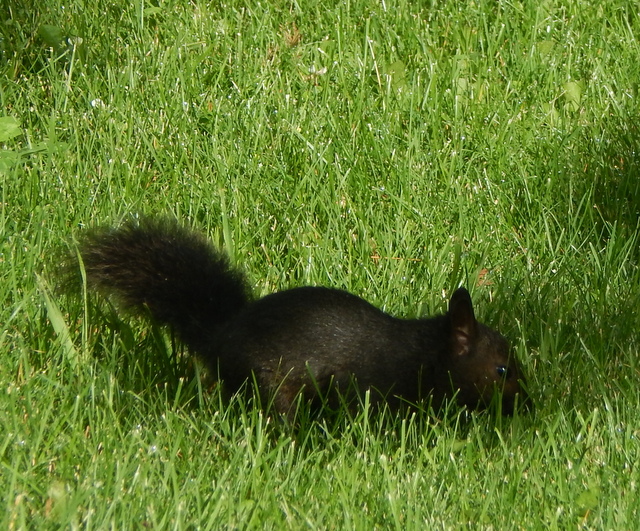 DSCN6848.JPG