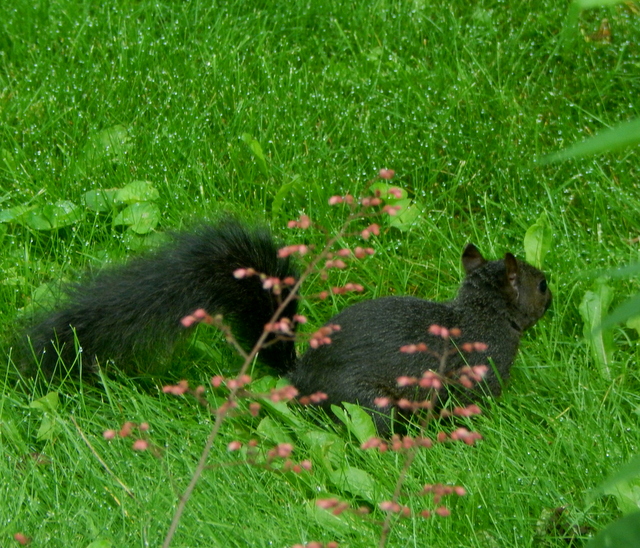 DSCN6849.JPG