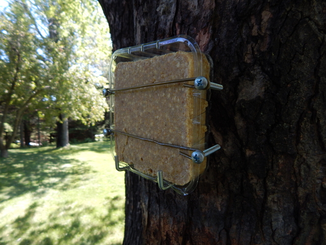 DSCN6858.JPG