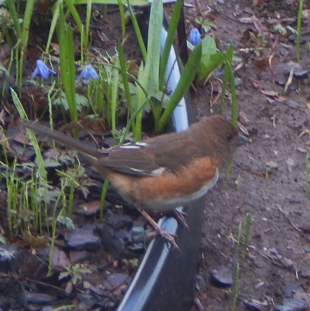 DSCN7189.JPG