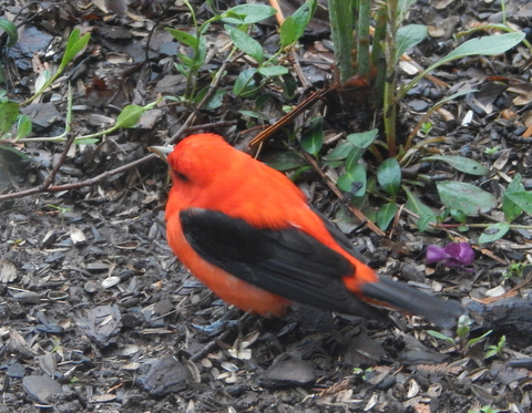 DSCN7227.JPG