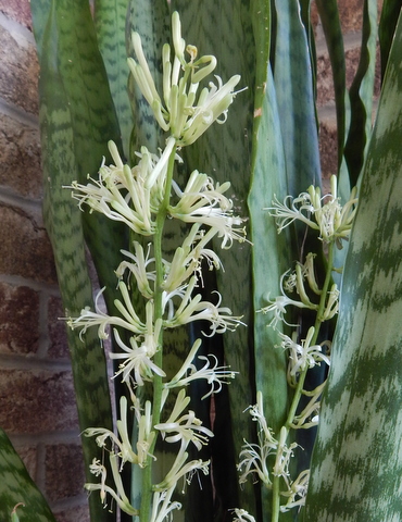 DSCN7276.JPG