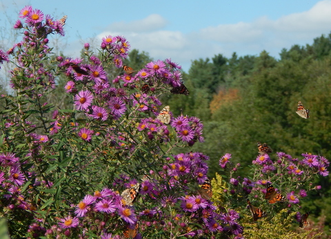 DSCN7283.JPG