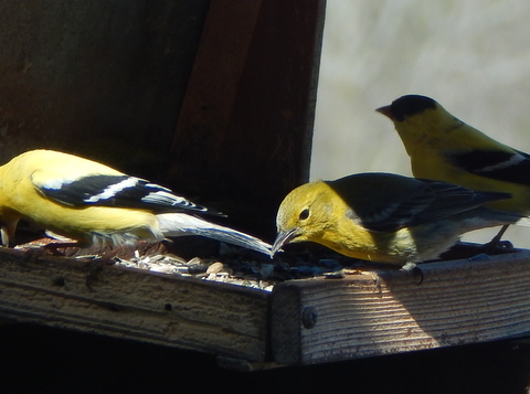 DSCN7404.JPG