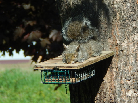 DSCN7448.JPG