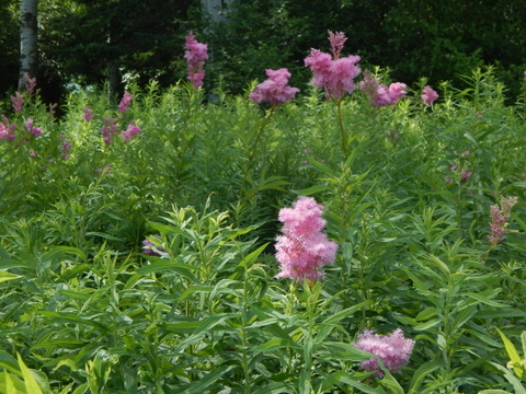 DSCN7459.JPG