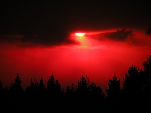 DSCN7721.JPG