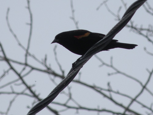 DSCN7763.JPG