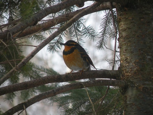 DSCN7770.JPG