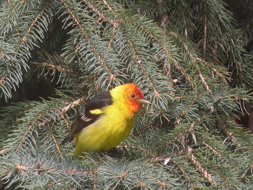 DSCN7844.JPG