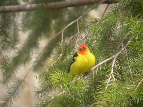 DSCN7845.JPG