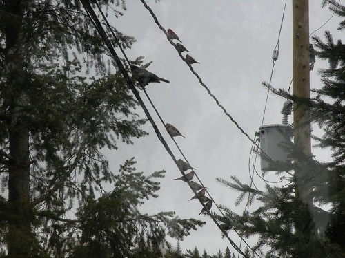 DSCN8352.JPG