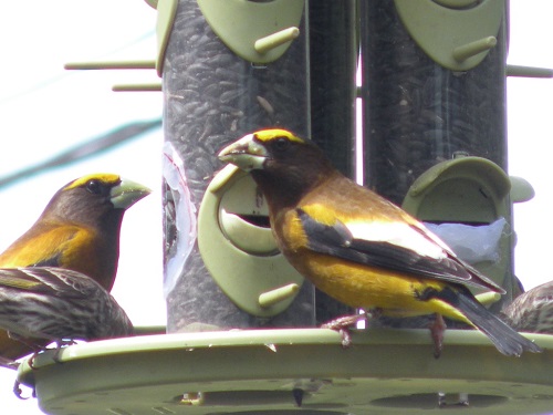 DSCN8361.JPG