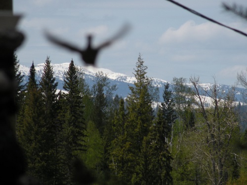 DSCN8372.JPG