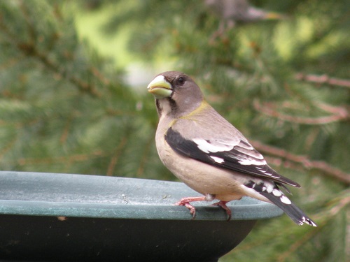 DSCN8375.JPG
