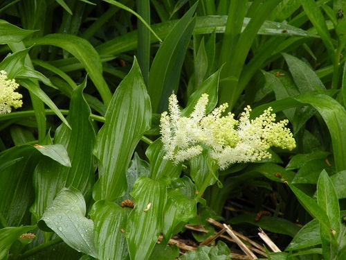 DSCN8395.JPG