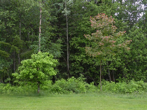 DSCN8437.JPG