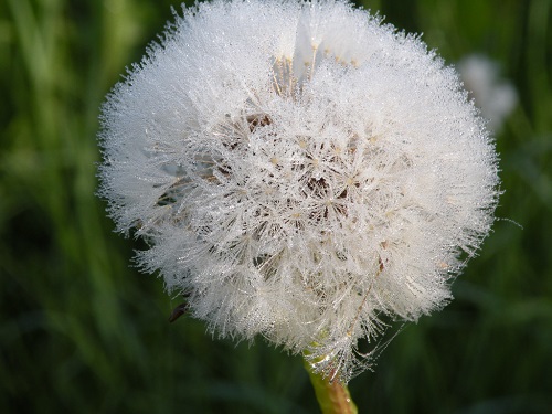 DSCN8446.JPG