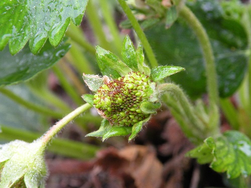 DSCN8459.JPG