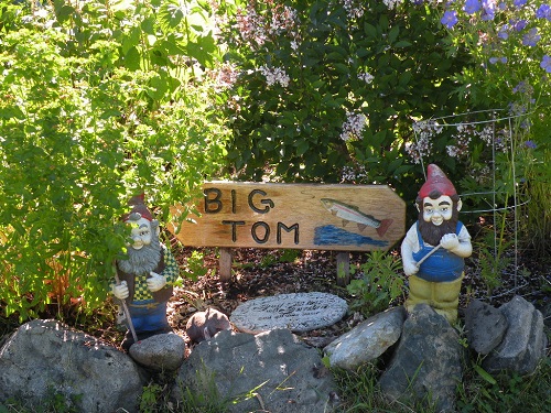 DSCN8615.JPG