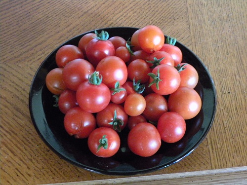 DSCN8633.JPG