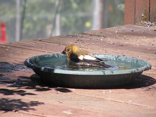 DSCN8945.JPG