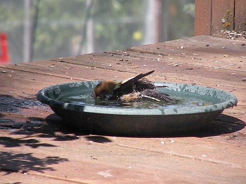DSCN8948.JPG