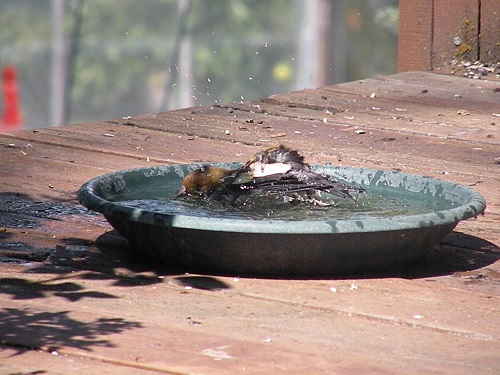 DSCN8950.JPG