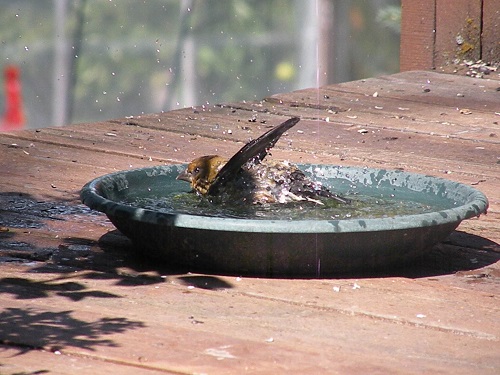 DSCN8953.JPG