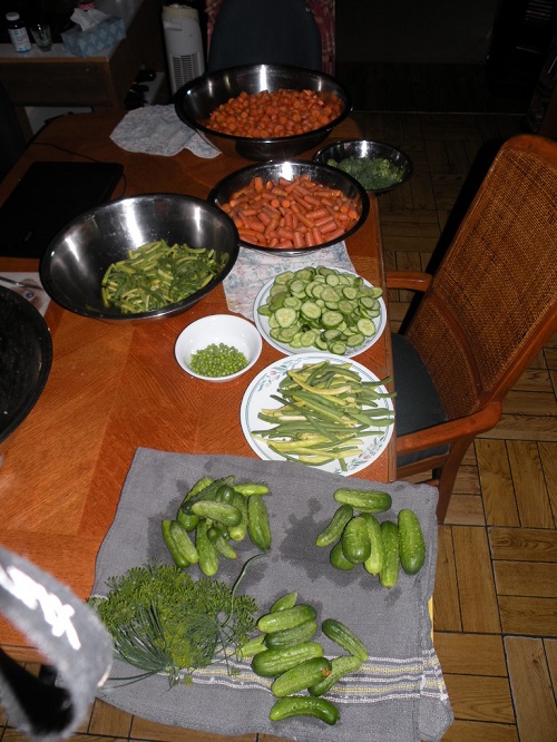 DSCN9090.JPG