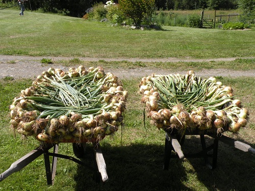 DSCN9095.JPG