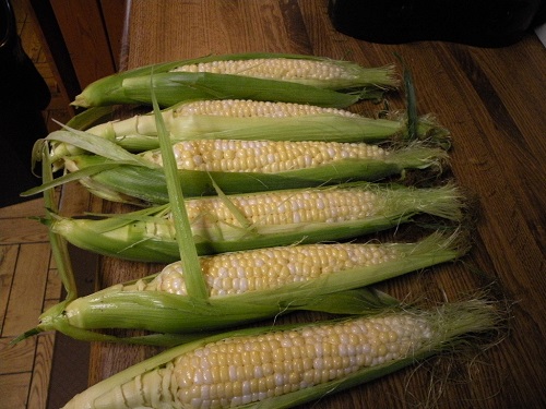 DSCN9167.JPG